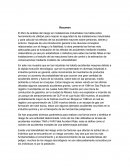 Analisis del riesgo en intalaciones industriales.