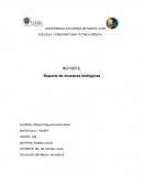 Reporte de muestras biológicas
