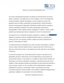 Planeacion prospectiva ensayo.