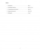 Tercera Revolucion Industrial