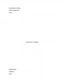 Construcción Ecologica.