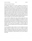 Diferencia entre moda y tendencia