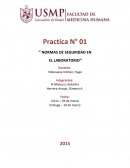 Practica N° 01 Normas de seguridad en el laboratorio