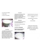 Elaboración Artesanal de Lavaplatos en crema a base de Aloe-vera y Limón para su comercialización