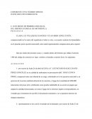 Constestacion de vista mercantil.