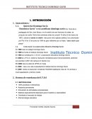 INSTITUTO TECNICO DOMINGO SAVIO TARIJA