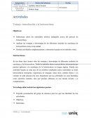 Actividades Trabajo: Introducción a la lectoescritura