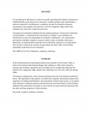 Resumen y bibliografia.