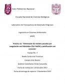 Eliminación de metales pesados por coagulación con hidróxidos (Cal, NaOH) y petrificación con cemento.