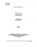 PROGRAMA DE INGENIERIA AMBIENTAL CALCULO DIFERENCIAL