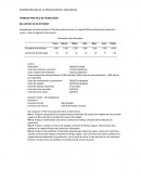 TRABAJO PRACTICO DE PLANEACION