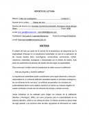 Manual para presentacion de proyectos