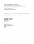 ESTRATEGIAS DE PROMOCION SANITARIA Y PLANES DE SALUD EN EL DISTRITO SANITARIO TOVAR