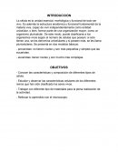 La célula es la unidad esencial, morfológica y funcional de todo ser vivo