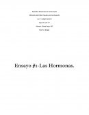 Ensayo #1-Las Hormonas