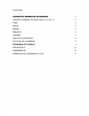 CONCEPTO GENERAL DE BLACK WOLF S. A. DE C. V.