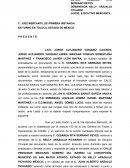 Demanda ejecutivo mercantil.