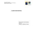 Planificaicon financiera