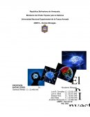 CUADRO COMPARATIVO CONOCIMIENTO. ANALISIS SOBRE LOS AUTORES CITADOS