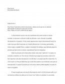 Discriminacion Racial. Paula Gili IV C