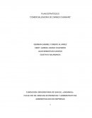 Plan Estratégico Comercializadora de carnes Casanare