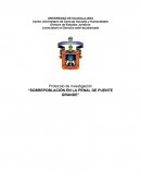 Protocolo de investigación “SOBREPOBLACIÓN EN LA PENAL DE PUENTE GRANDE”