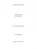 Corporaciones Trasnacionales