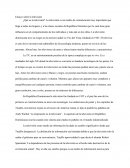 Ensayo sobre la Television dominicana