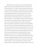 Fobaproa en México "el robo del siglo"