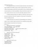 Foda Supermercado Lider