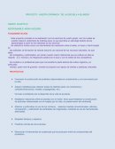 HUERTA ORGÁNICA “ DE LA ESCUELA A SU MESA”