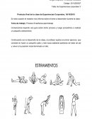 Experiencias corporales