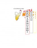 Cartilla manipuladores