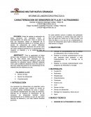 CARACTERIZACION ULTRASONIDO Y FLUJO