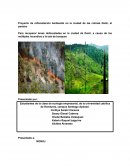 Proyecto de reforestación Ambiental en la ciudad de las colinas Danli, el paraíso