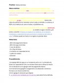 Practica: Pelotas de bórax