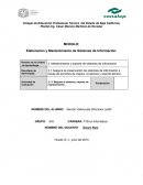 Elaboración y Mantenimiento de Sistemas de Información.