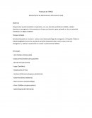 Protocolo de TRIAGE.