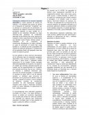 TIPOS agregados y materiales.