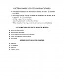 PROTECCIÓN DE LOS RECURSOS NATURALES.