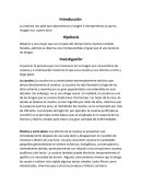 Cocaina. Observo a una mujer que con el paso del tiempo tiene muchos cambios faciales