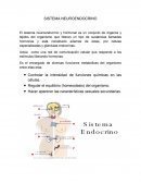 SISTEMA NEUROENDOCRINO Y HORMONAL