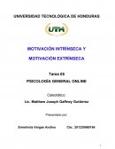 MOTIVACIÓN INTRÍNSECA Y EXTRINSECA DIFERENCIAS