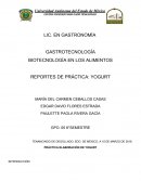 Elaboración de Yogurt.