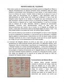 REPORTE MUSEO DEL TELÉGRAFO.
