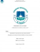 Abandono y maltrato de los canes en Quito
