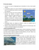 Act Integradora. El ciclo del carbono