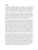 Informe de la interacion de la cultura y la comunidad