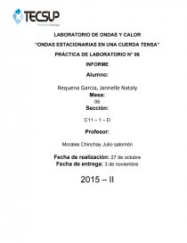 LABORATORIO DE ONDAS Y CALOR “ONDAS ESTACIONARIAS EN UNA CUERDA TENSA”. Página 1