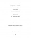 TRABAJO DE MEDIO AMBIENTE MOVILIDAD URBANA SOSTENIBLE